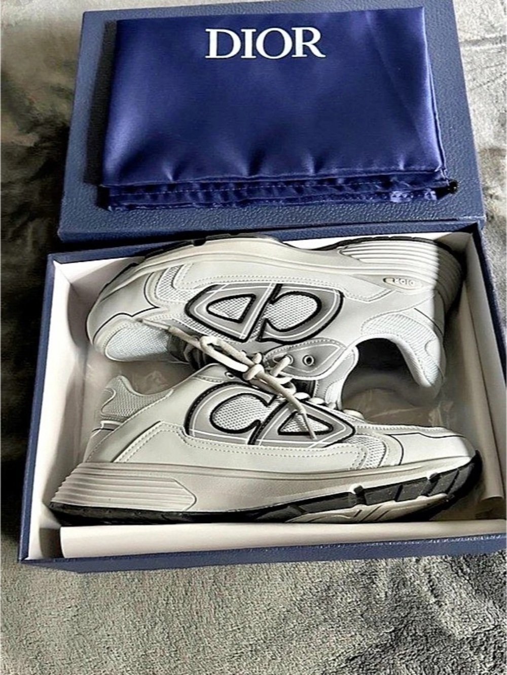 Dior B30 Sneakers in Gray & White